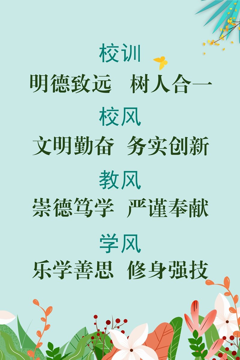 同栏目条目通常按时间倒序排列