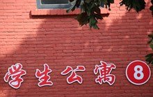 同栏目条目通常按时间倒序排列