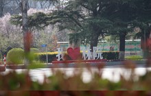建议先扫读标题与摘要