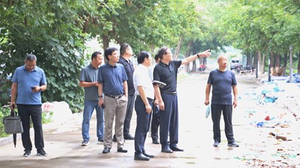 同栏目条目通常按时间倒序排列