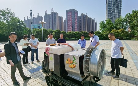 两者都保留在站内即可形成完整阅读路径