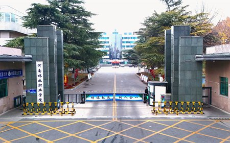 中专部 / 信息发布 / 武装部(保