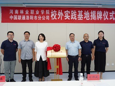 公开信息按发布时间滚动