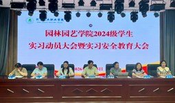 阅读「爱体育官方网站功能入口」后